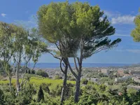 Недвижимость Villa Cannes: 11