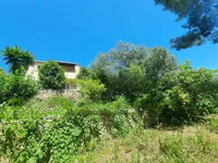 Недвижимость Villa Vallauris: 12