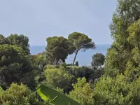 Недвижимость Villa Le Cannet: 17