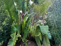 Недвижимость Villa Croix des Gardes: 15