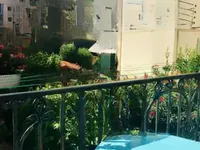 Недвижимость Villa République Cannes: 2