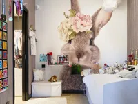 Недвижимость Residence Centre-Ville: 23