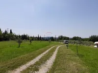 Недвижимость Дом с хозпостройками: 15