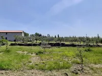 Недвижимость Дом с хозпостройками: 27