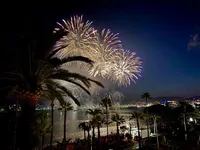 Недвижимость Villa Pointe Croisette: 3