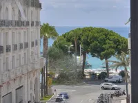 Недвижимость Villa Cannes Centre-Ville: 1