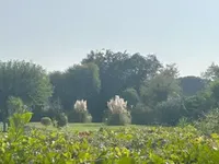 Недвижимость Villa La Roubine: 20