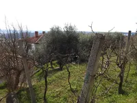 Недвижимость Дом, Лучия, Камполин: 4