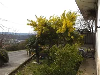 Недвижимость Дом, Лучия, Камполин: 30