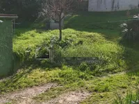 Недвижимость Дом в Копере: 12