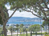 Недвижимость House Pointe Croisette: 2