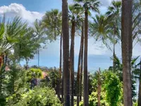 Недвижимость Villa Cannes: 3