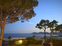 Недвижимость Villa Cannes: 3