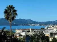 Недвижимость Villa Cannes: 1