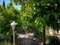 Недвижимость Villa Mougins: 6