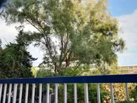 Недвижимость Villa Cannes Centre-ville: 10