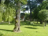 Недвижимость Villa Cannes: 11