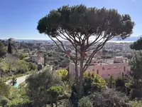 Недвижимость Villa Cannes Croix des Gardes: 2