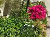 Недвижимость Villa Cannes Croix des Gardes: 20