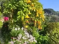 Недвижимость Villa Cannes Croix des Gardes: 21