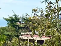 Недвижимость Villa Croix des Gardes: 21