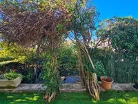 Недвижимость Estate Cannes: 12