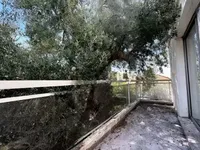 Недвижимость House Cannes République: 8