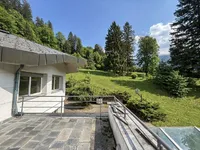 Недвижимость Дом, Тржич: 9