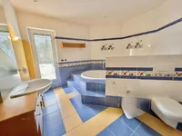 Недвижимость Дом, Тржич: 21