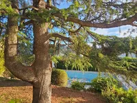 Недвижимость Villa Cannes: 7