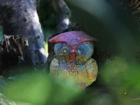 Недвижимость Дом Другой Новый Помьян: 18