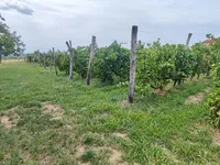 Недвижимость Дом, Нова Вас над Драгоньей: 27