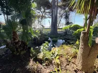 Недвижимость Villa Suquet Cannes: 7