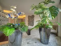 Недвижимость Villa Pointe Croisette: 25