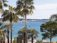 Недвижимость Villa Cannes Centre-ville: 2