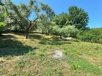 Недвижимость Villa Cannes: 4