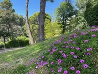 Недвижимость Estate Cannes: 16