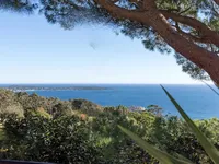 Недвижимость Villa Cannes: 3