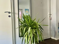 Недвижимость Квартира, 4 комнаты, Литострой: 21