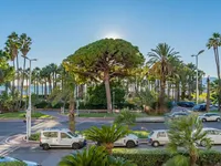 Недвижимость Villa Cannes Centre-ville: 5