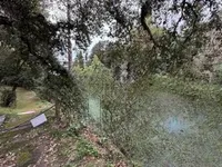 Недвижимость Villa Cannes: 15