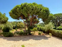 Недвижимость Villa Pointe Croisette: 11