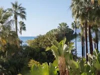 Недвижимость Villa Cannes Centre-ville: 20