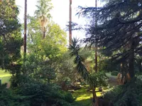 Недвижимость Villa Cannes: 1