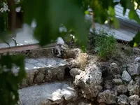 Недвижимость Villa Cannes: 28