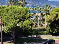 Недвижимость Villa Cannes: 12