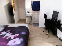 Недвижимость Villa Cannes République: 5