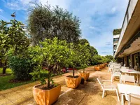 Недвижимость Villa Cannes: 4