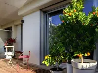 Недвижимость Villa Carnot Cannes: 1