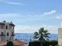 Недвижимость Villa Cannes: 4